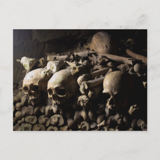 Les Catacombes Postcard