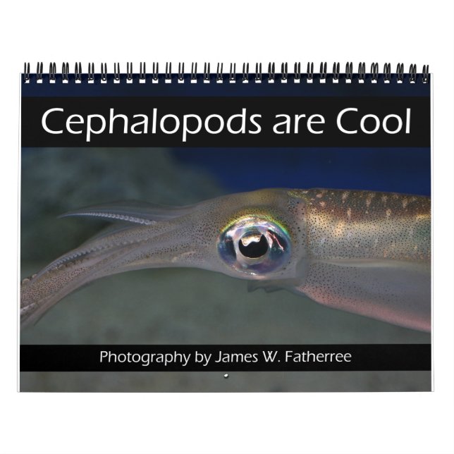 Les céphalopodes sont Cool Calendrier (Protection)