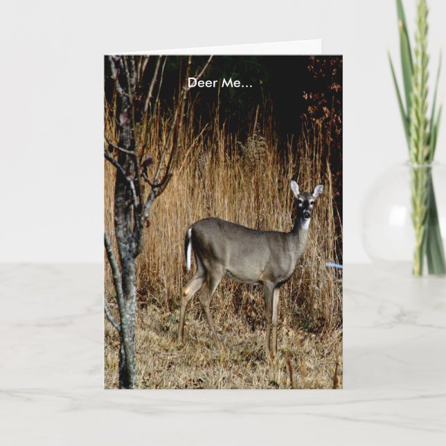 Les cerfs communs j'obtiennent la carte bonne (Devant)