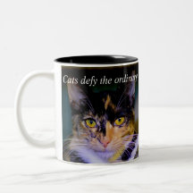 Les "chats défient" la tasse de café ordinaire