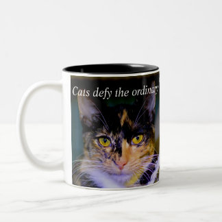 Les "chats défient" la tasse de café ordinaire