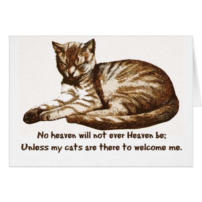 Les chats m'accueillent (Devant horizontal)