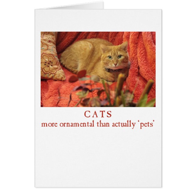 Les chats sont ornementaux (Devant)