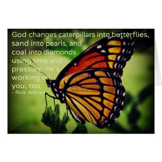 Les chenilles en papillons