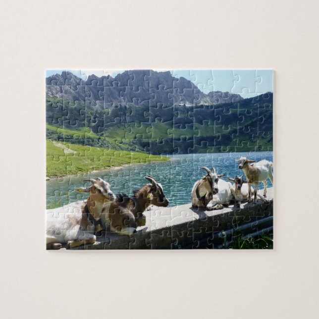 Les chèvres tremblent dans le puzzle du soleil (Horizontal)