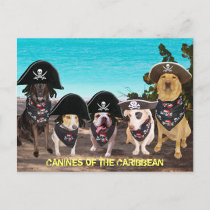 Les Chiens amusants parlent comme des cartes posta