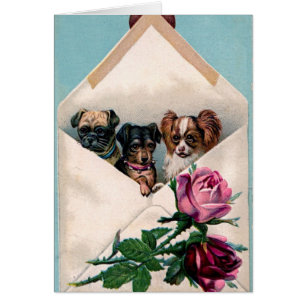Les chiens noirs bruns mignons vintages dentellent