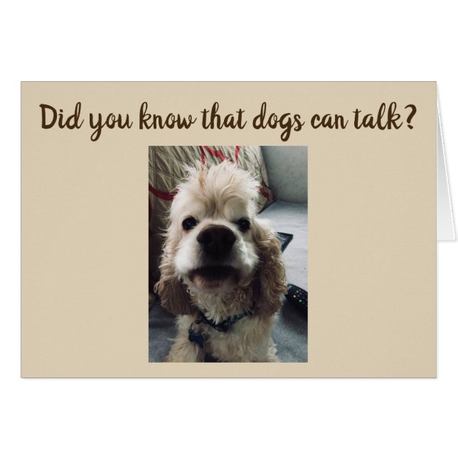 LES CHIENS PARLENT...ILS DISENT **MERY NOËL** (Devant horizontal)