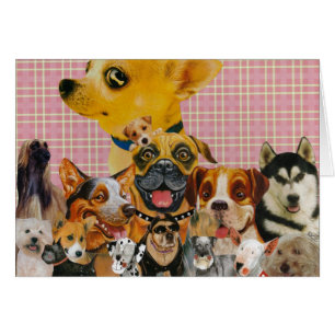 Les chiens sont amusants