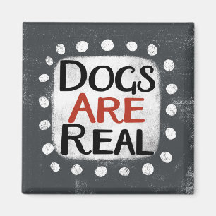 Les chiens sont de vrais aimants frigorifiques