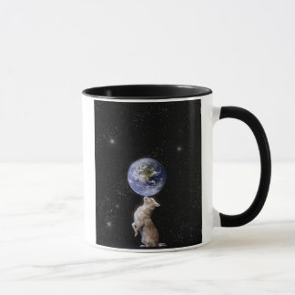 Les chiwawas ordonnent la tasse du monde