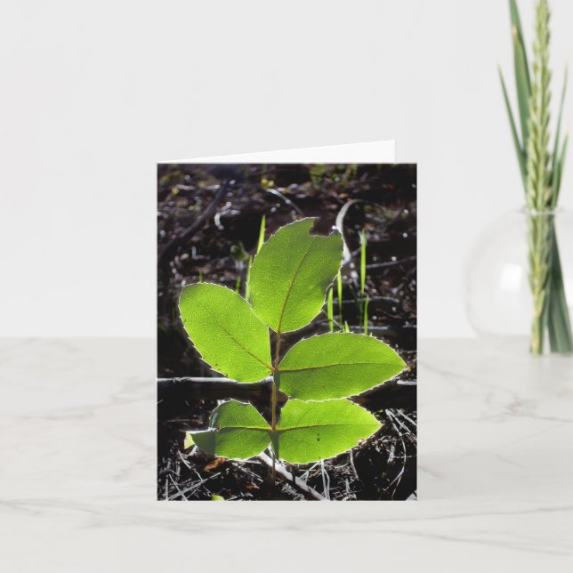 Les choses seront un carte pour notes plus (Devant)