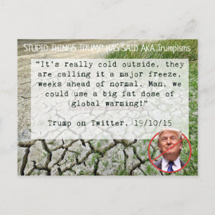 Les choses stupides Trump a dit Carte postale Souv