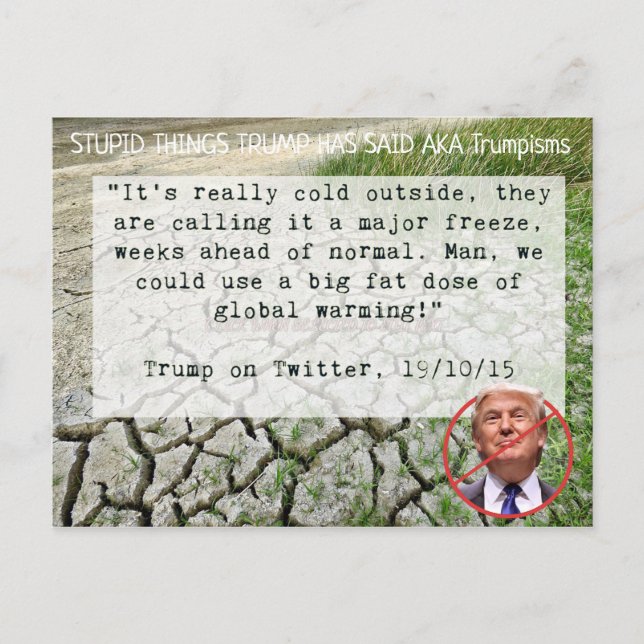 Les choses stupides Trump a dit Carte postale Souv (Devant)