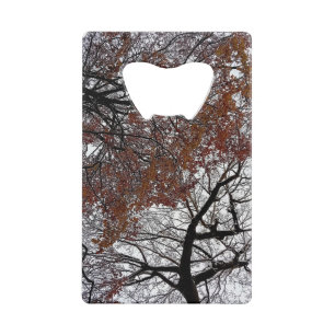 Les cimes des arbres