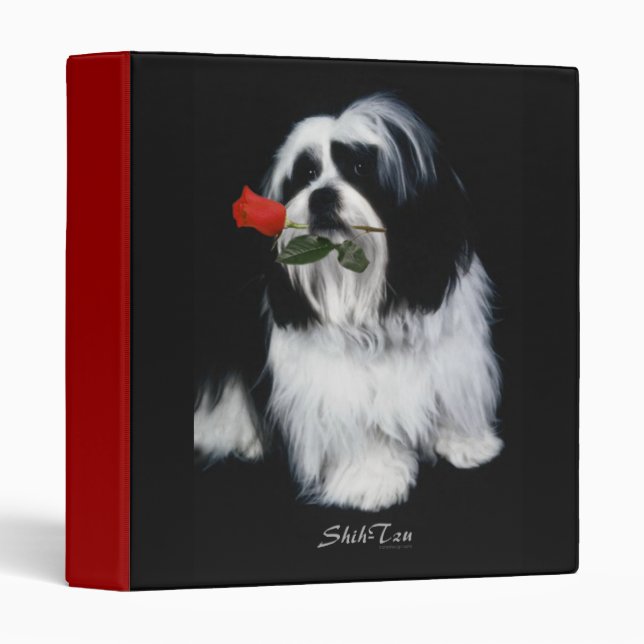 Les classeurs de chien de Shih Tzu (Devant/Côté)