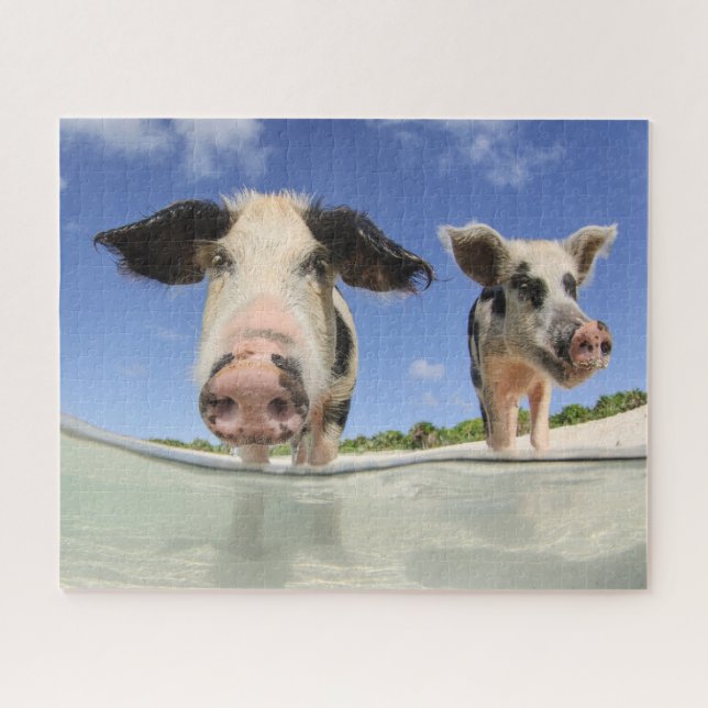 Les cochons mignons sur la plage Puzzle (Horizontal)