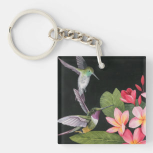 Les colibris de la Plumeria