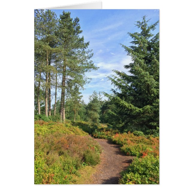 Les collines Lickey (Devant)