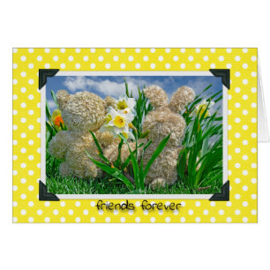 Les copains de Teddy et Bunny