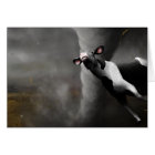 Les coups de cyclone !