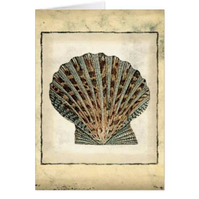 Les Créatures marines au bord de l'eau (Devant)