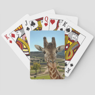 Les Curieuses Cartes De Jeu De La Giraffe