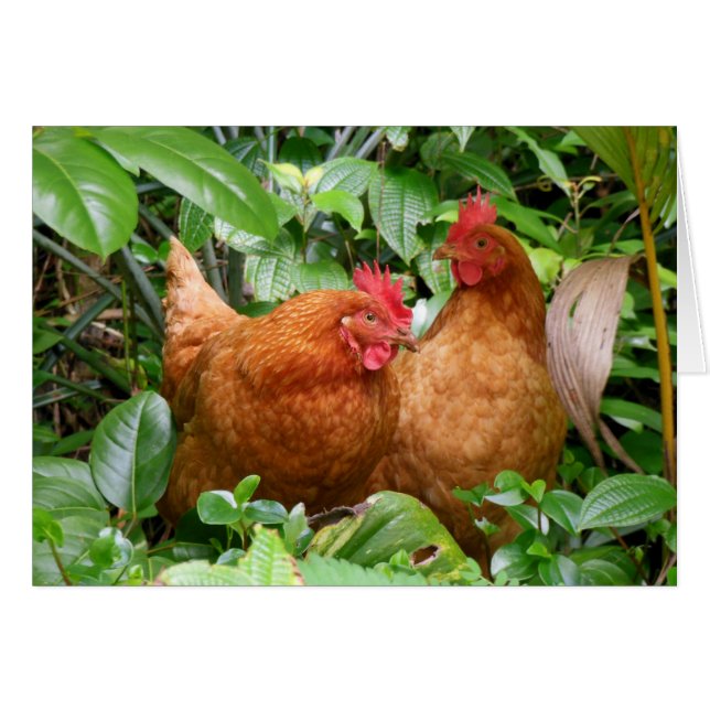 Les dames en attente (Devant horizontal)