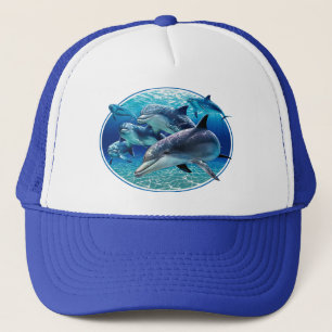 LES DAUPHINS REFROIDISSENT DES CASQUETTES D'ÉTÉ