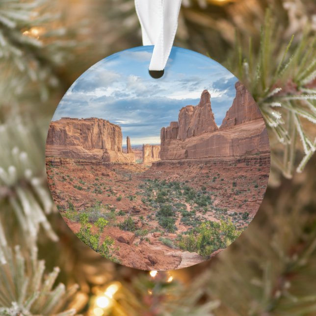 Les déserts | Parc national des Arches, Utah (Arbre)