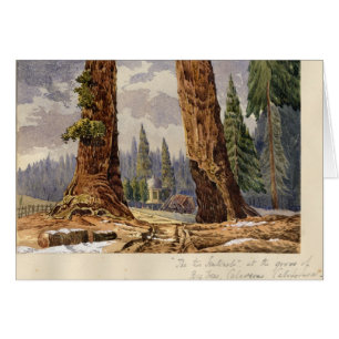 Les deux sentinelles, au verger de grands arbres