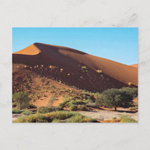 Les dunes de la Sossusvlei sur la carte postale de