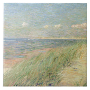 Les Dunes du Zwin, Knokke, 1887 (oil on canvas) Tile