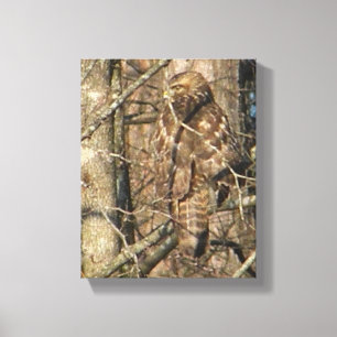Les EA faucon impressionnant dans un art de toile
