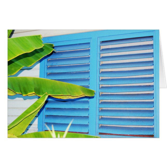 Les éclats tropicaux (Devant horizontal)