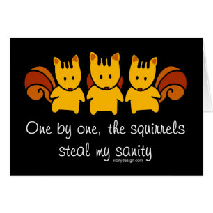 Les écureuils volent ma santé mentale