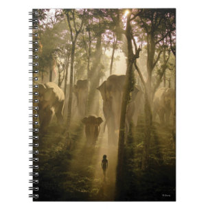 Les éléphants du livre de la Jungle