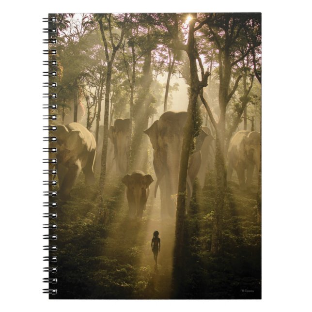 Les éléphants du livre de la Jungle (Devant)