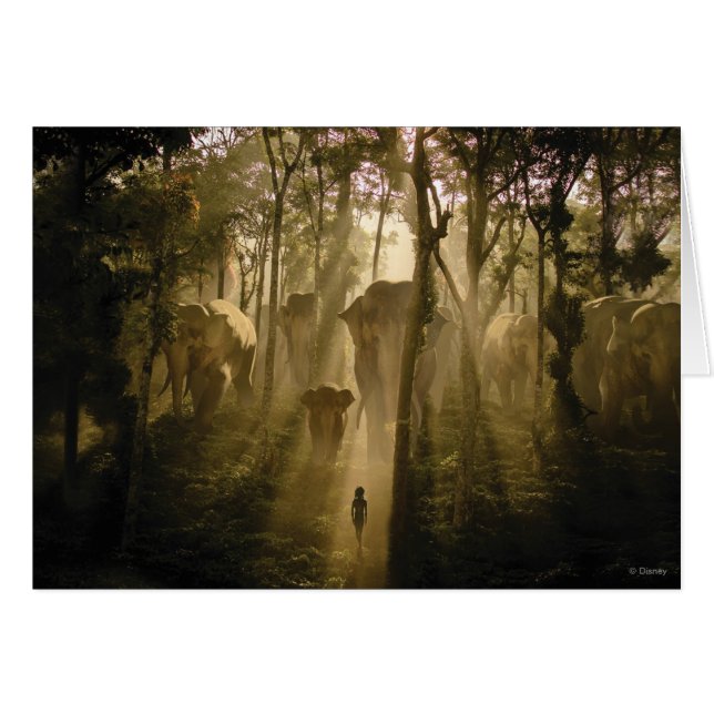 Les éléphants du livre de la Jungle (Devant horizontal)