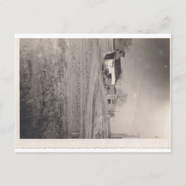 Les entreprises sur Pine Street Carte postale (Devant)