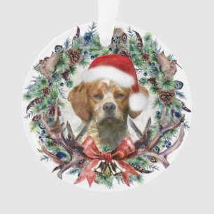 Les Épagneuls Bretons , Noël
