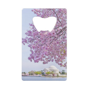 Les Etats-Unis, Washington DC, cerisier en fleur