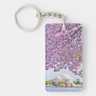 Les Etats-Unis, Washington DC, cerisier en fleur