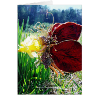 Les fées dans les jonquilles