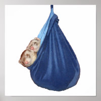 Les Ferrets Dans Un Sac À Dormir Poster