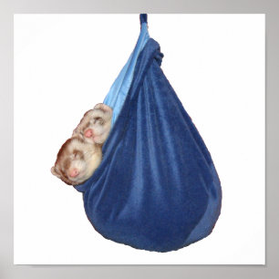 Les Ferrets Dans Un Sac À Dormir Poster