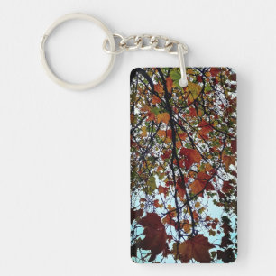 Les feuilles changent