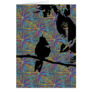 Les feux d'artifice des colibris