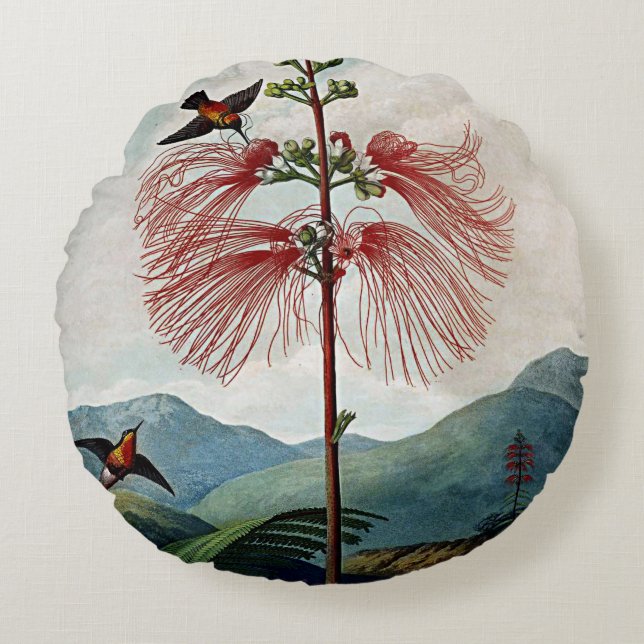 Les fleurs botaniques forme des coussins (Devant)