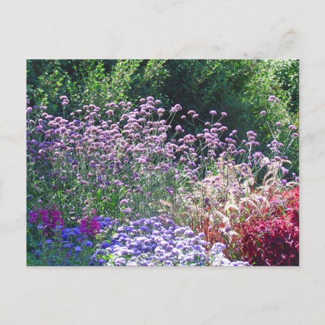 Les fleurs dans la carte postale du jardin anglais (Devant)